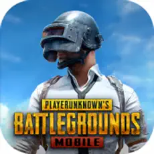 pubg2024最新版