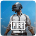 pubg2024最新版