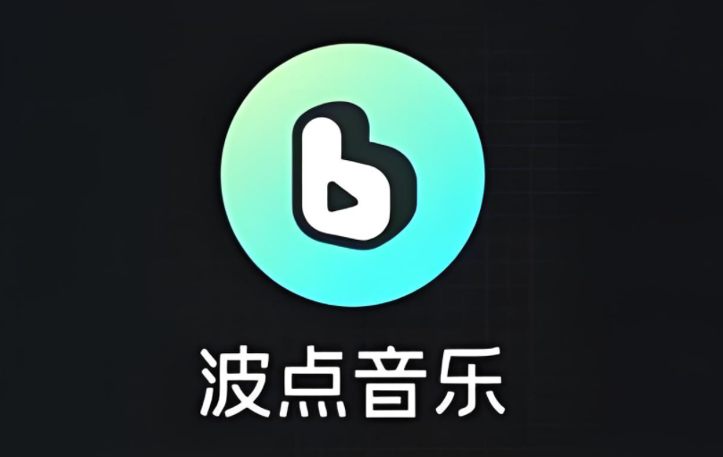 波点音乐app所有版本合集