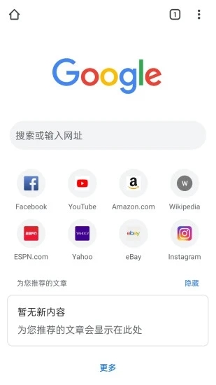 谷歌浏览器手机版截图2