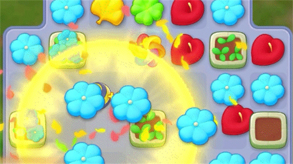 我的花园
