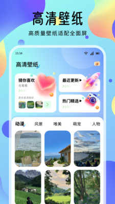 海豚壁纸截图1