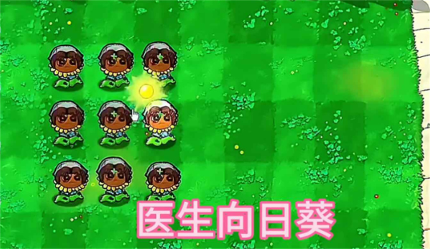 植物大战僵尸第五人格版截图1