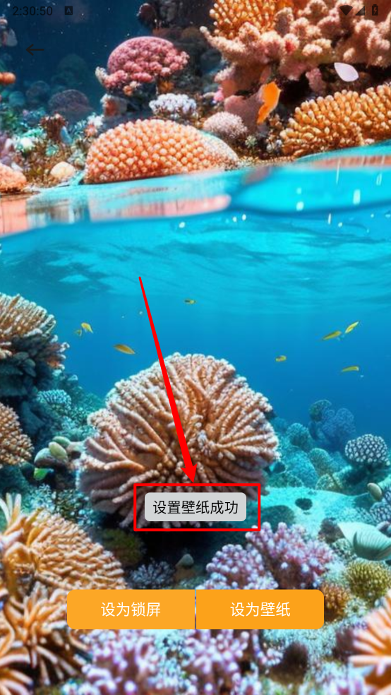 fulione壁纸