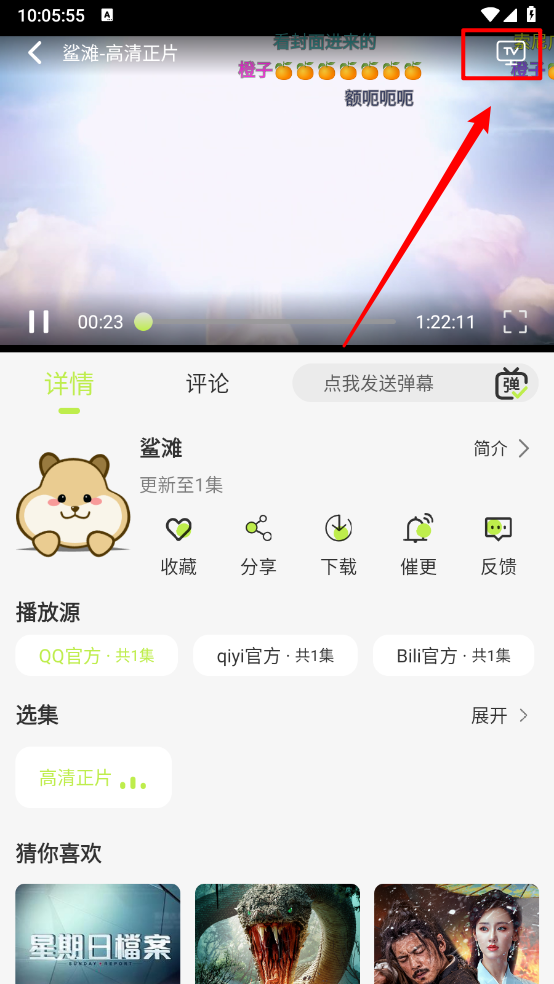 仓鼠4K