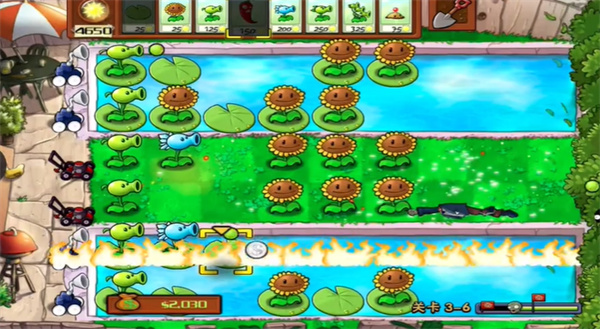 植物大战僵尸升天版