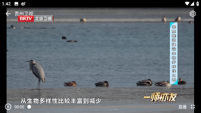 小电视截图2