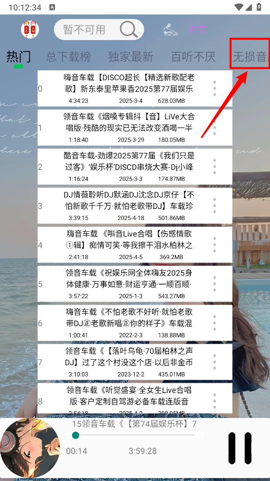 DJ乐听