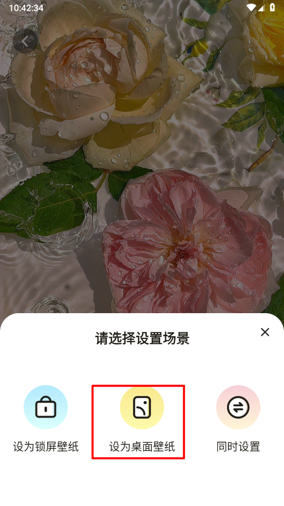 麦麦壁纸