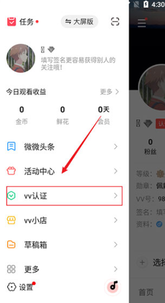 vv