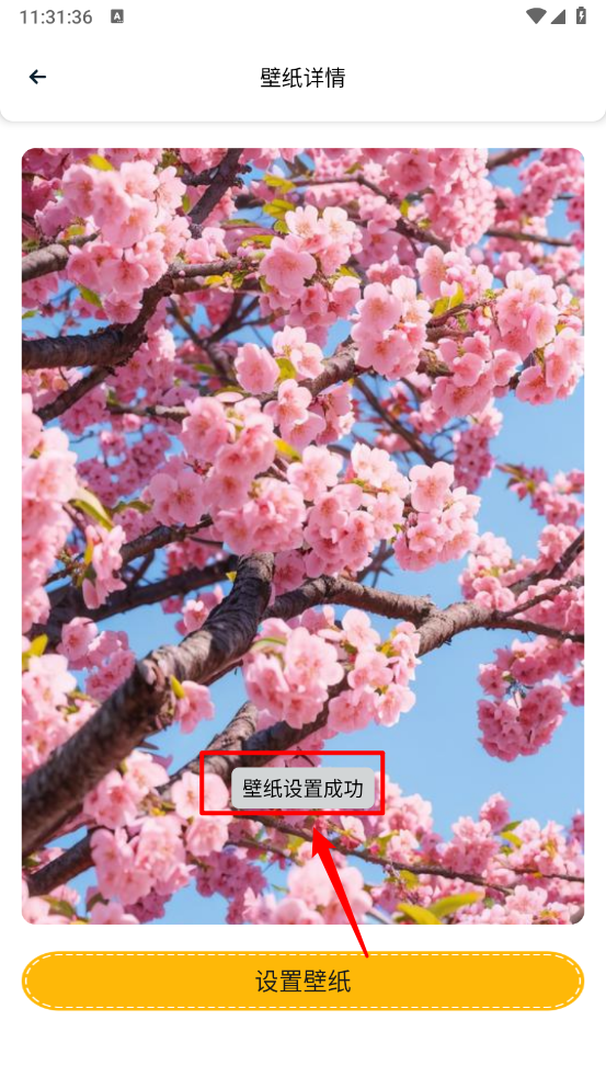 遇榶壁纸
