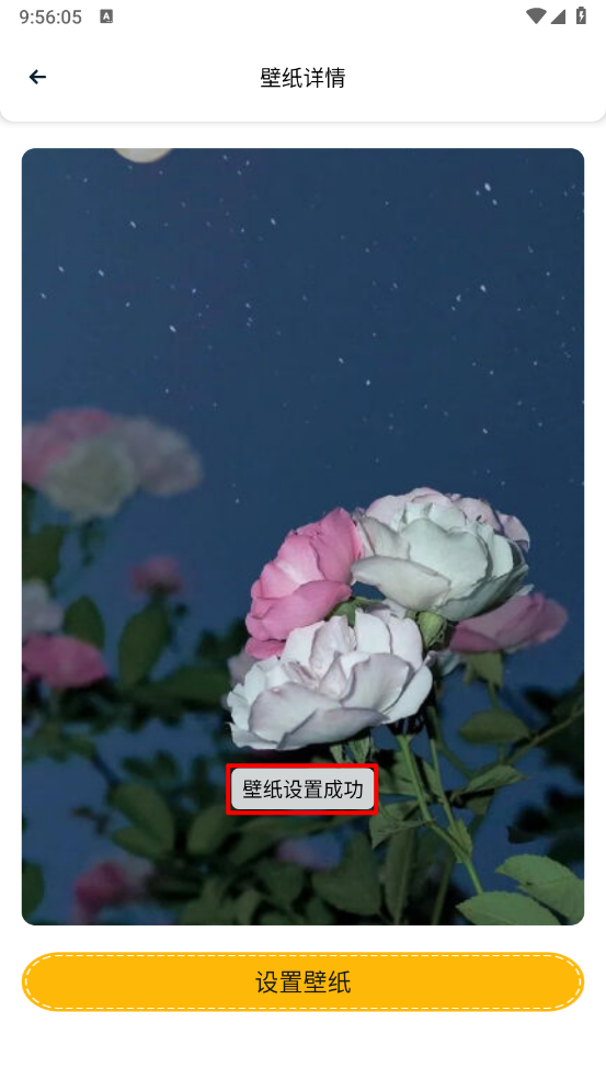 趣美壁纸大全