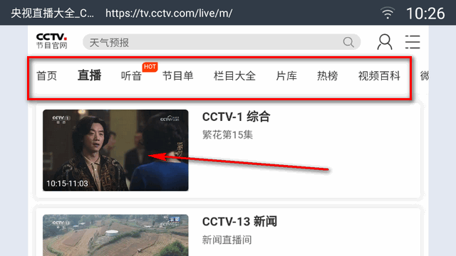 飞视浏览器